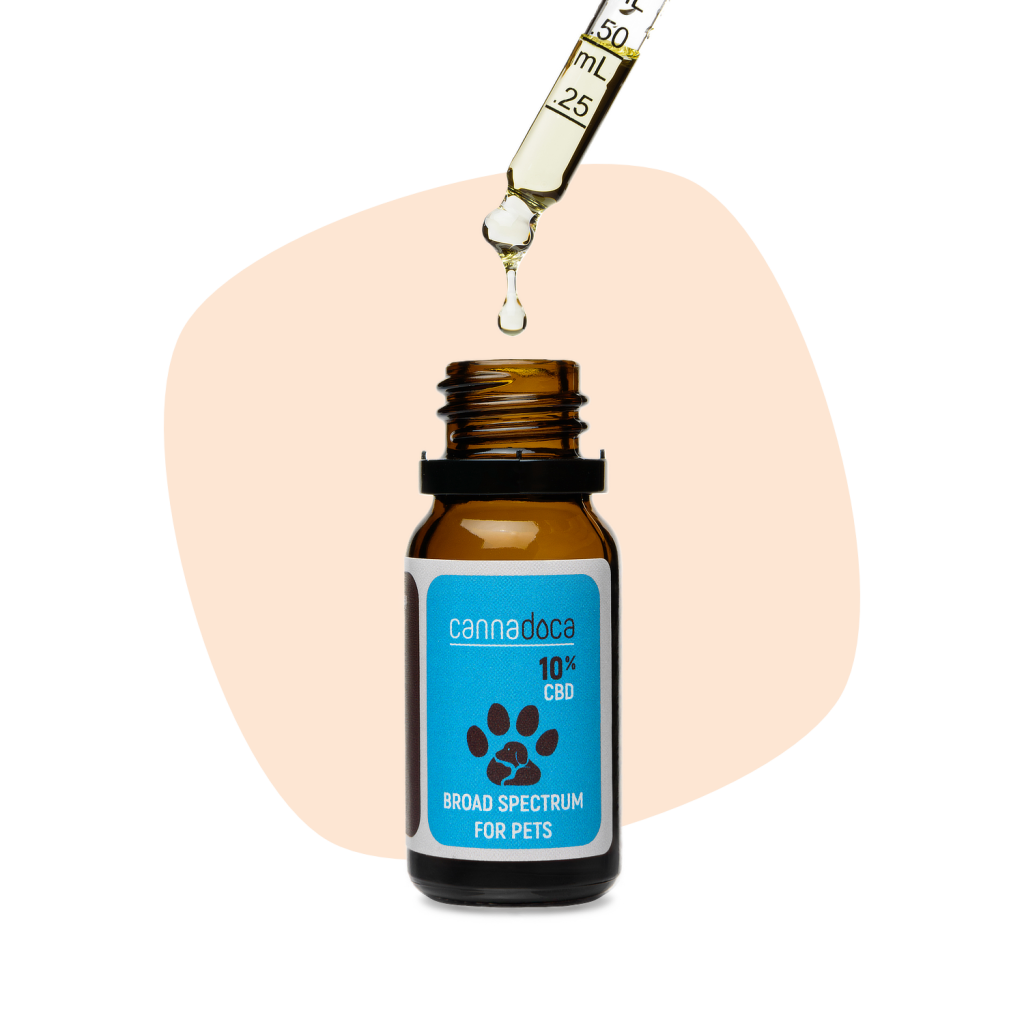 CBD масло за кучета и котки – научни факти и мнения на стопани cbd масло 10% pets