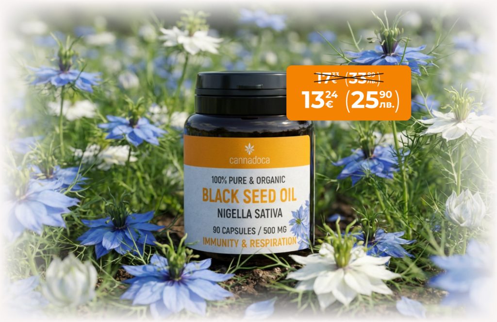 Масло от черен кимион само а 13,24€ (25,90лв.)